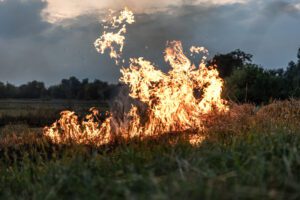 Incendies dans les Pyrénées-Orientales : Comprendre les Garanties et Franchises de Votre Assurance